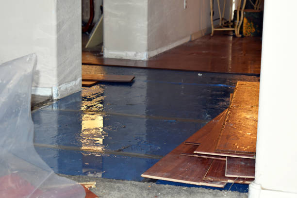 Professional Sewage Cleanup technician working in Camden, MI